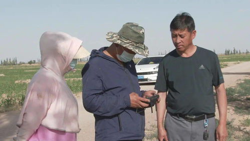 騰格里經(jīng)濟技術開發(fā)區(qū) 無人機撒藥技術開發(fā)助力農業(yè)提質增收